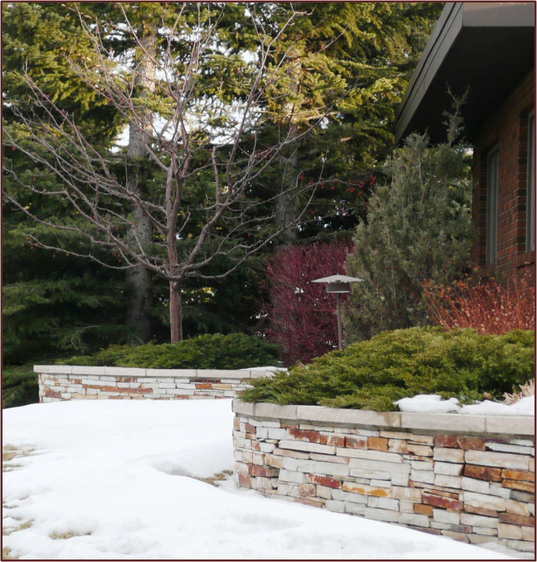 Form, Colour and Texture in the Winter Garden « Not Another Gardening Blog