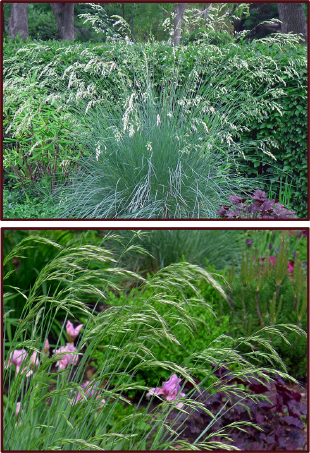 Photos: Sue Gaviller