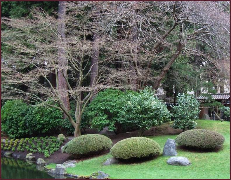 The Form of Things to Come – Part 6 « Not Another Gardening Blog