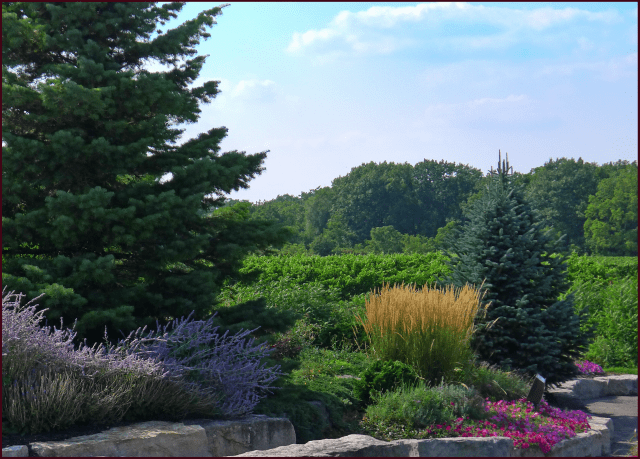 This photo was taken seconds before my little 'mishap'. Photo: Sue Gaviller