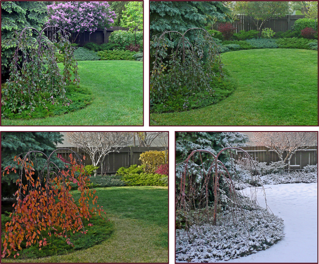 Photos: Sue Gaviller