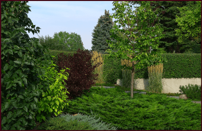 Photos: Sue Gaviller