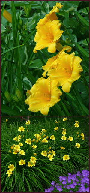 Photos: Sue Gaviller