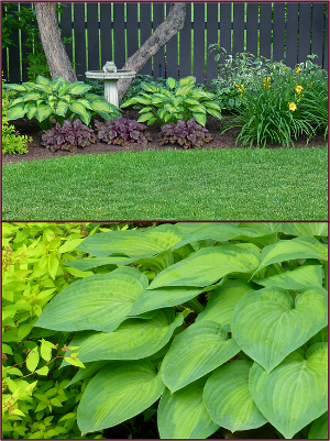 Photos: Sue Gaviller