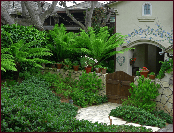 In the artist's community of Carmel by the Sea, the artist's touch abounds, as in the pretty painted vine on the house above and the artful container arrangements below. Photos: Sue Gaviller