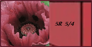poppy 5R 5 4