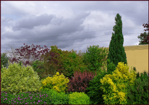 warm hues garden resample