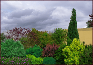 warm hues + green resample