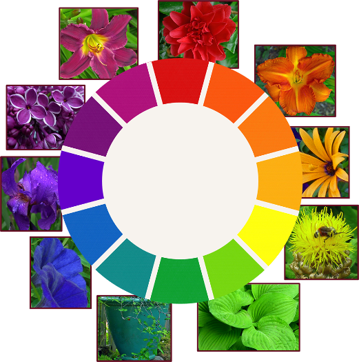 Photos and Graphics: Sue Gaviller