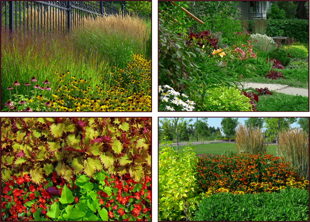 warm summer colours -resize