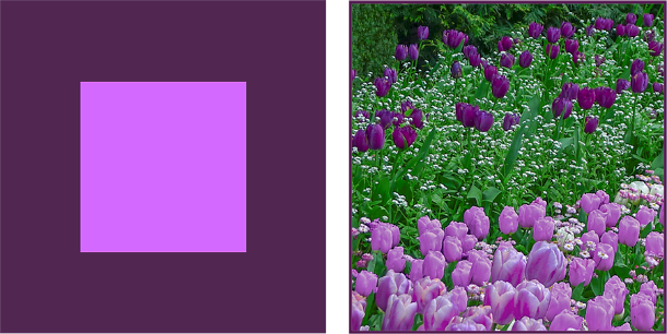 Photo and graphics: Sue Gaviller