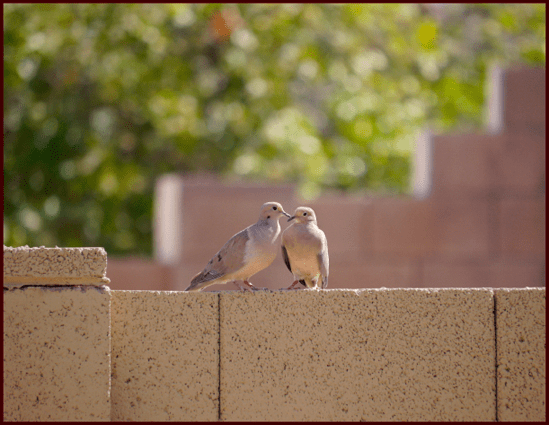 “Love does not consist in gazing at each other.....